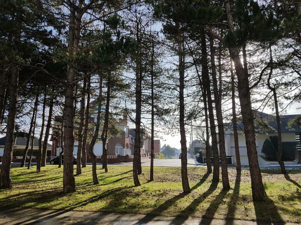 Sunny days Apartment Le Touquet Bagian luar foto